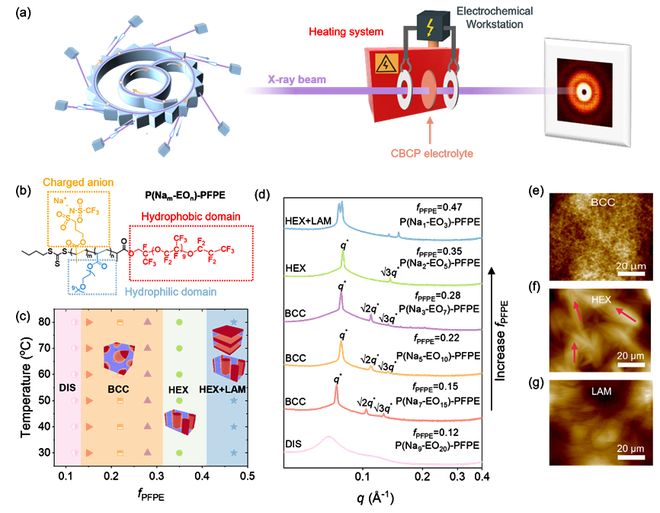 澳大利亚昆士兰大学张承团队最新JACS： 全固态聚合物电解质的自组装设计